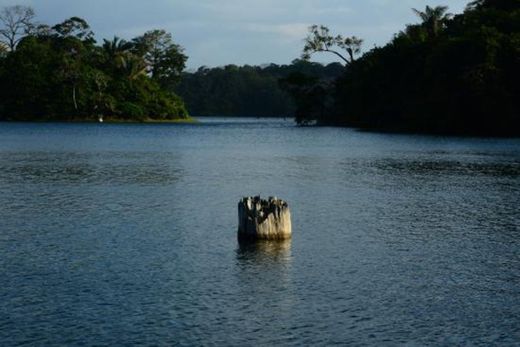 Lago Gatún