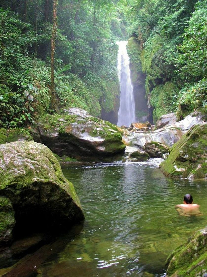 Lugar Parque Nacional Pico Bonito