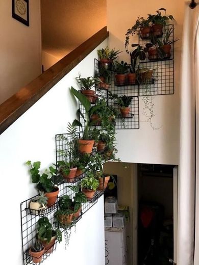 decoração com plantas