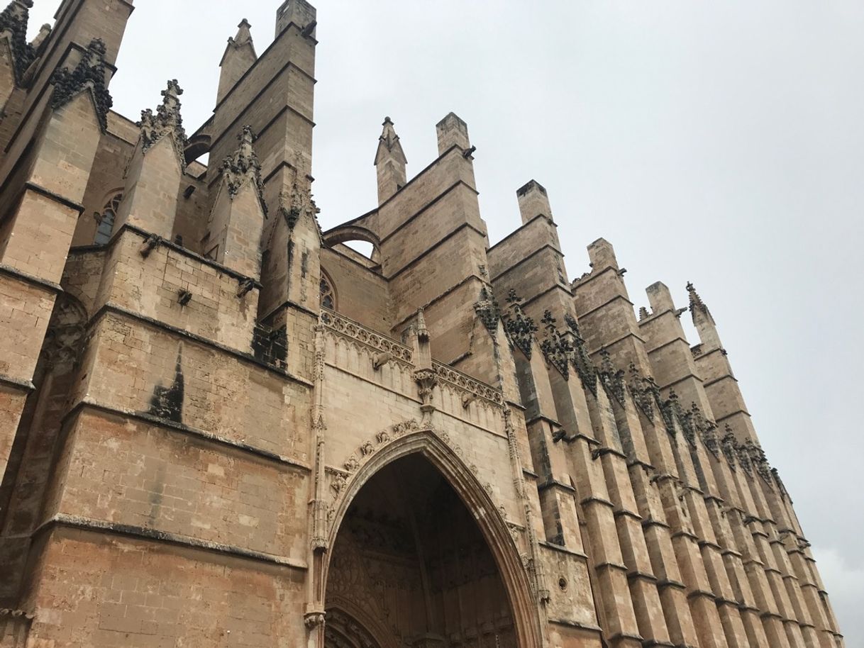 Place Catedral-Basílica de Santa María de Mallorca