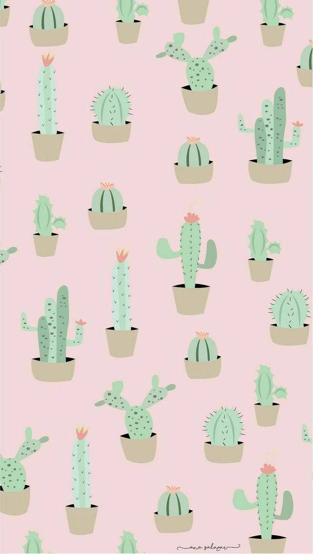 Moda Wallpaper para fundo do whats