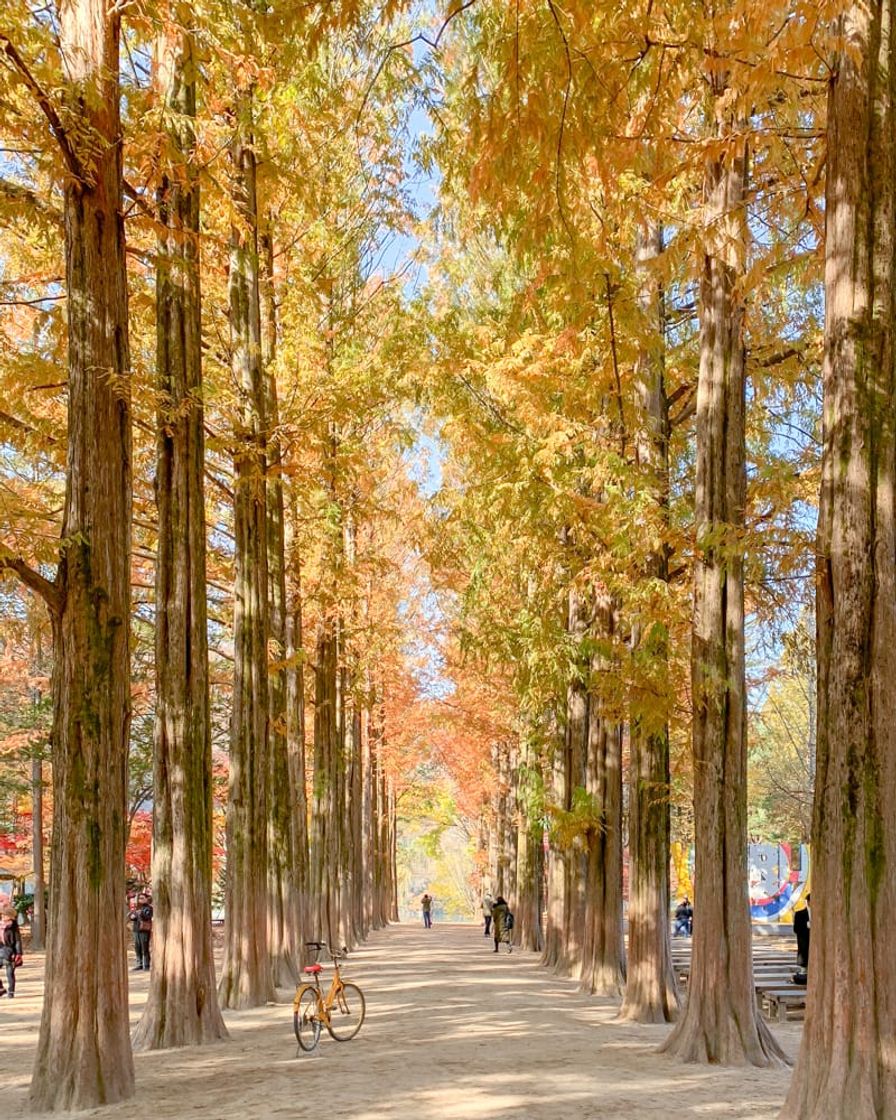 Lugar Nami Island