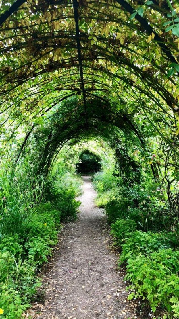 Lugar Akureyri Botanical Garden