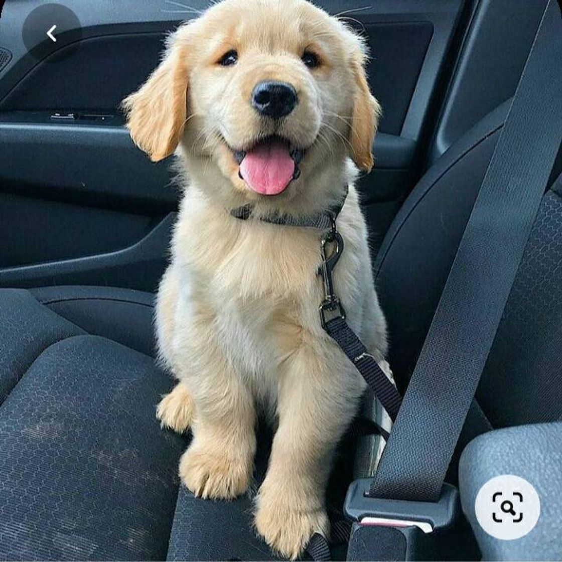 Social Statesman Journal from Salem, Oregon on January 23, 1946 · Page ...