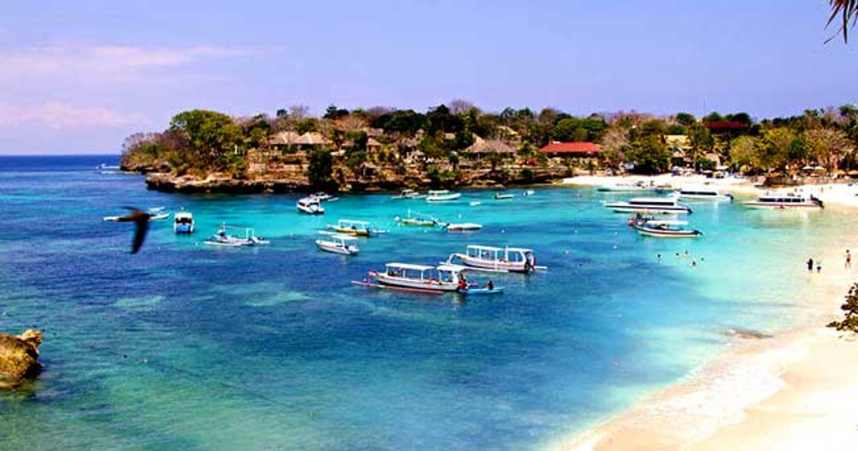 Place Nusa Lembongan (Mushroom Beach)