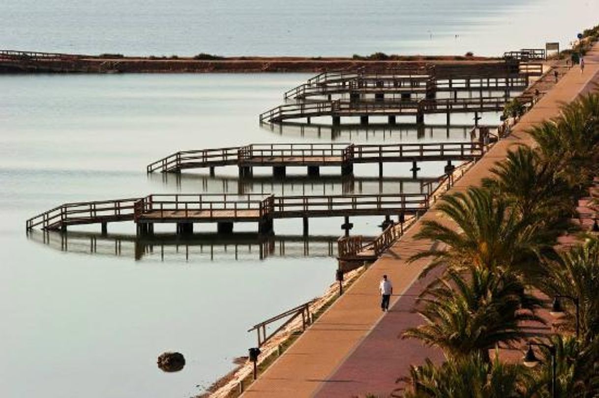 Restaurants Lodos del Mar Menor