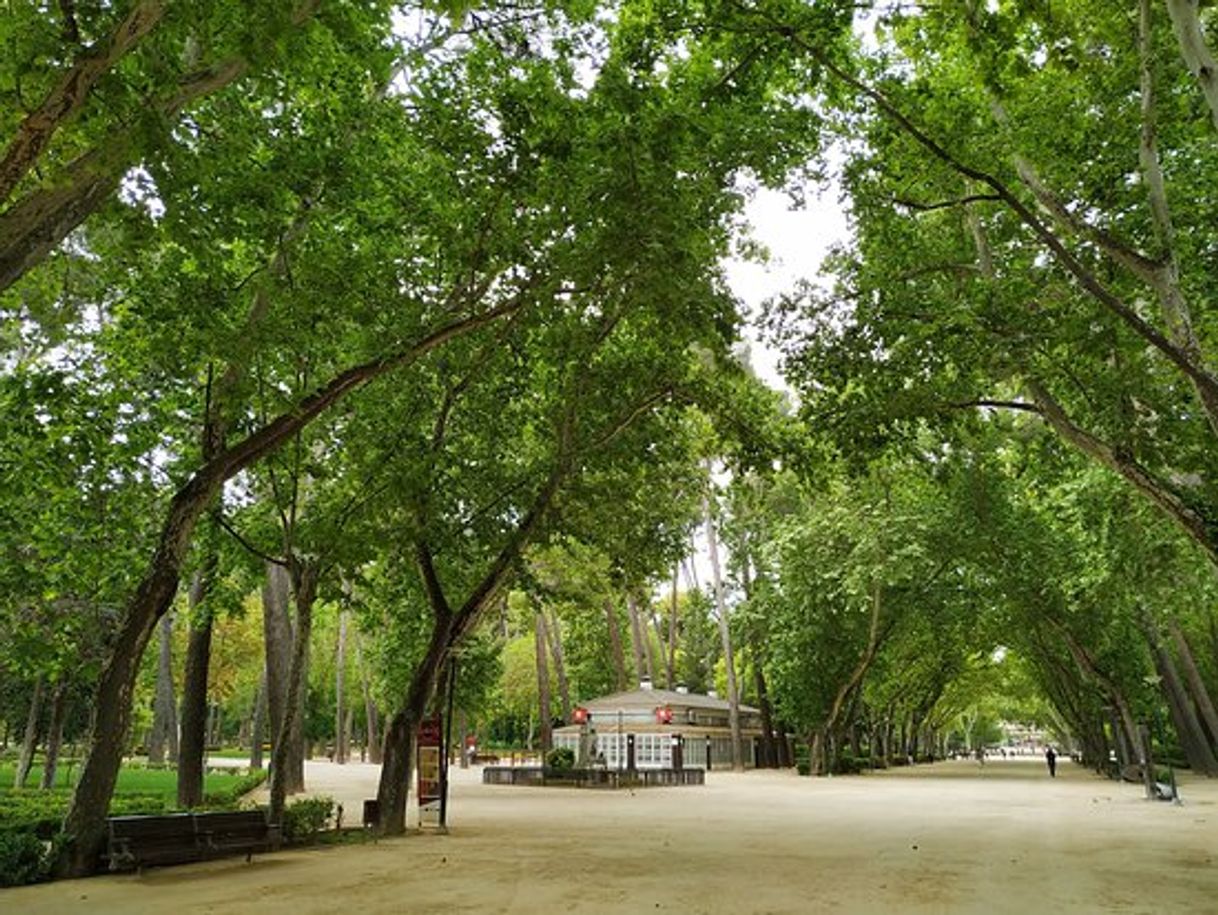 Lugar Parque Urbano Abelardo Sánchez