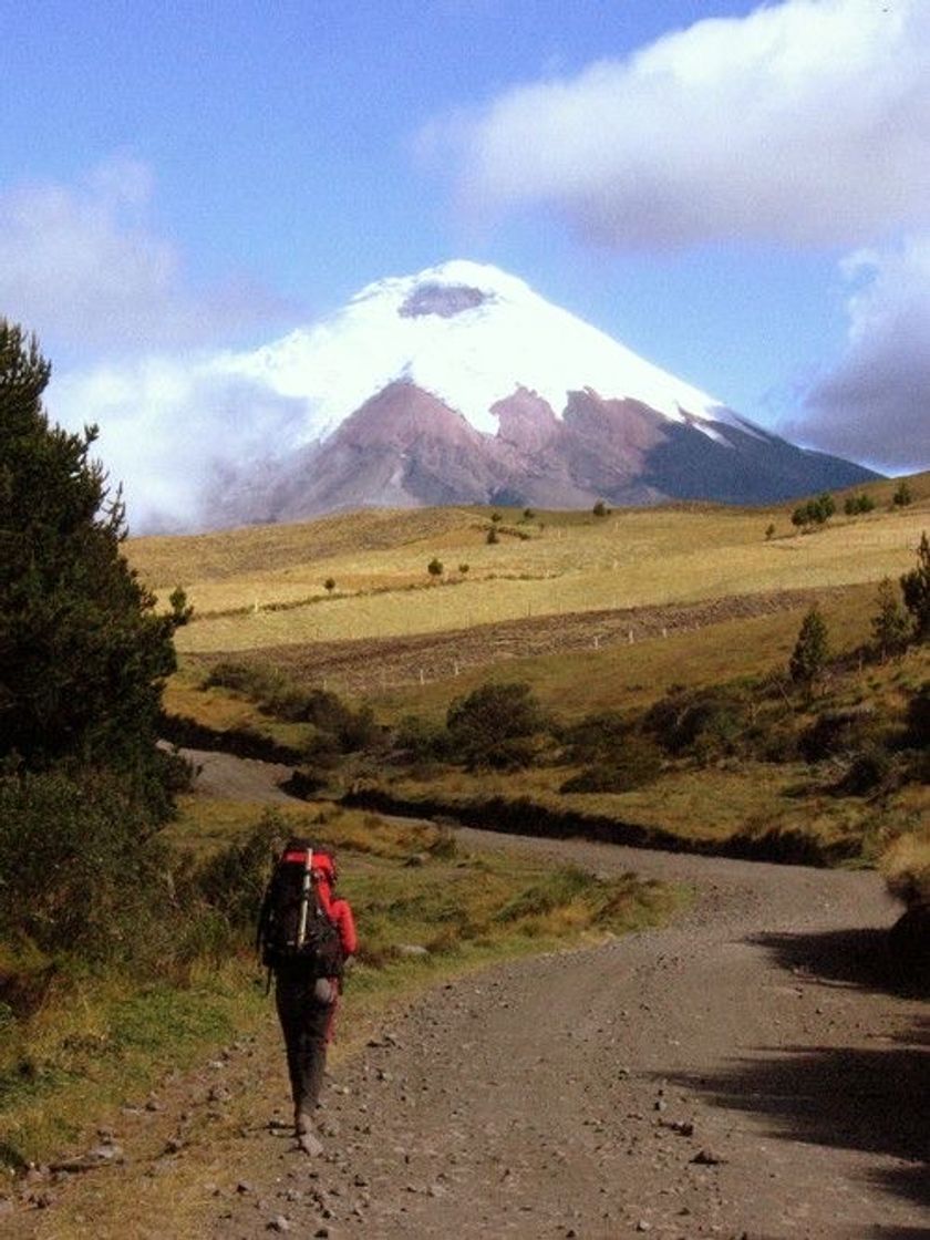 Fashion Cotopaxi 