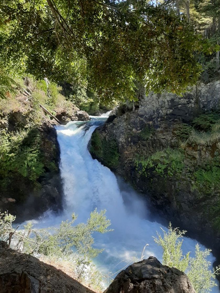 Lugar Cascada Los Alerces