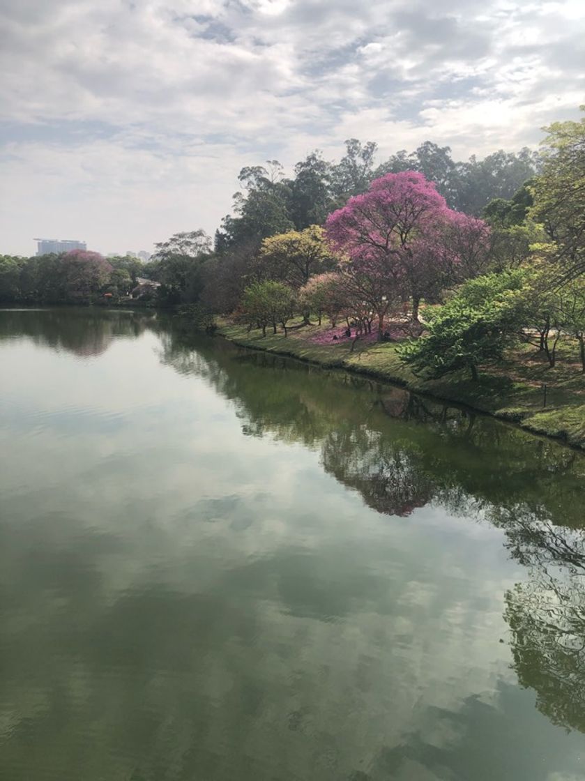 Lugar Parque Ibirapuera