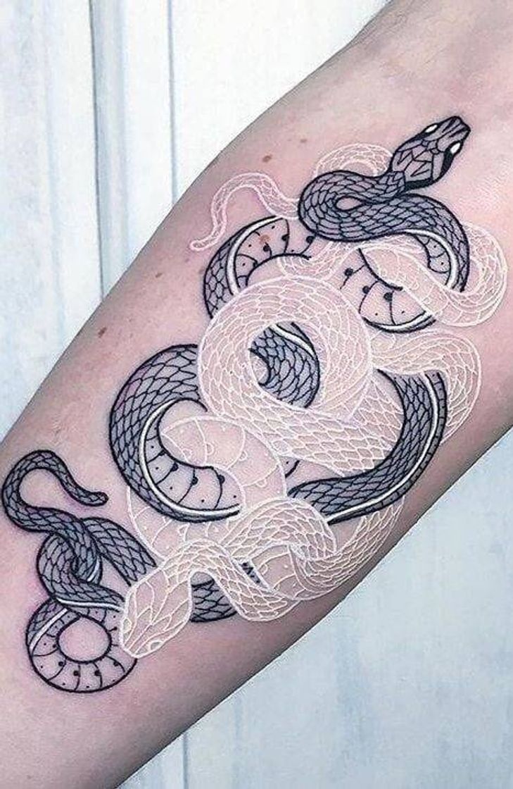 Moda tatuagem cobras.