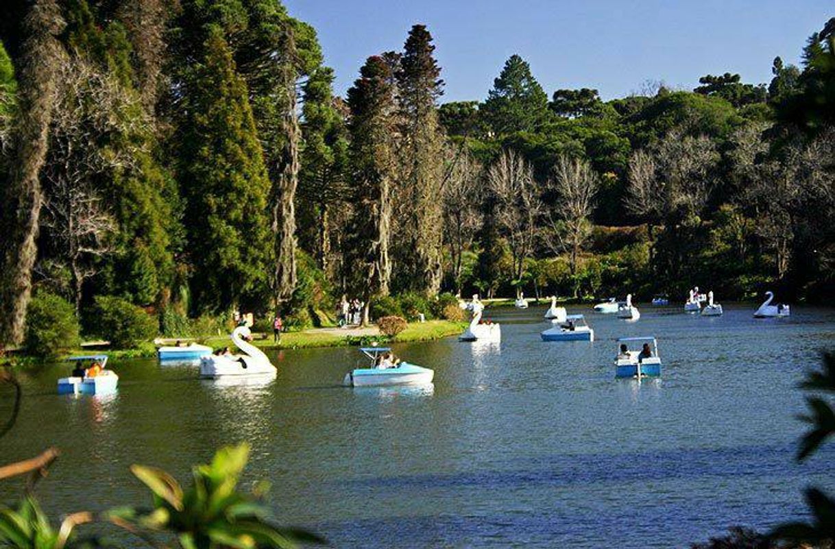 Moda 🦢🤍🖤LAGO NEGRO🖤🤍