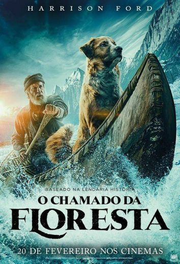 🐕🎬📽🎞💙O CHAMADO DA FLORESTA🎞🎬📽💙