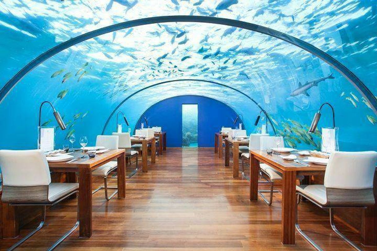 Moda 💙💙🌊💎RESTAURANTE DENTRO DO MAR🌊🐟🐠🐬🐚🐡🦈