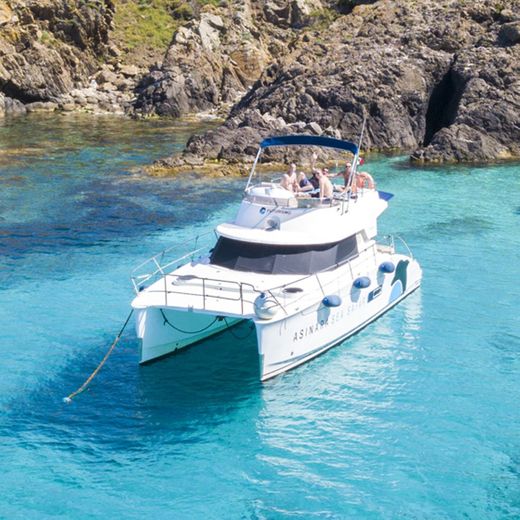 Escursioni Guidate Asinara Sea Safari Catamarano