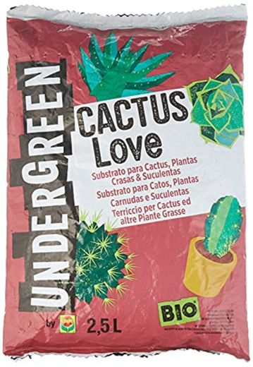 UNDERGREEN Love Cactus