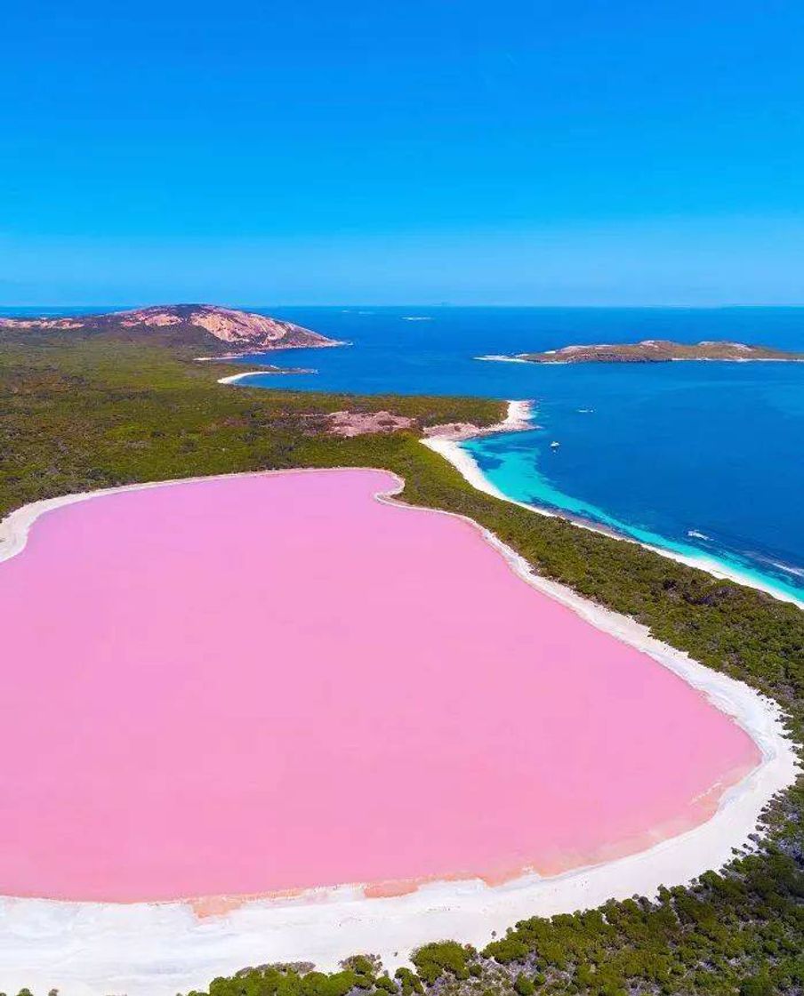 Fashion Lago Hillier