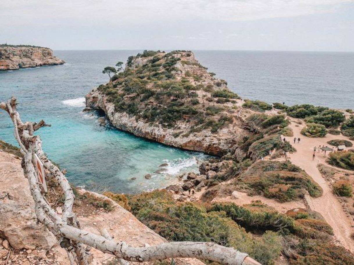 Moda Palma de Maiorca - Espanha 