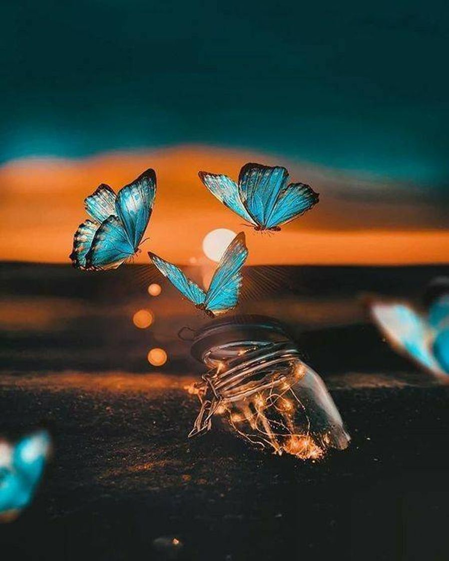 Moda 🦋butterfly photo