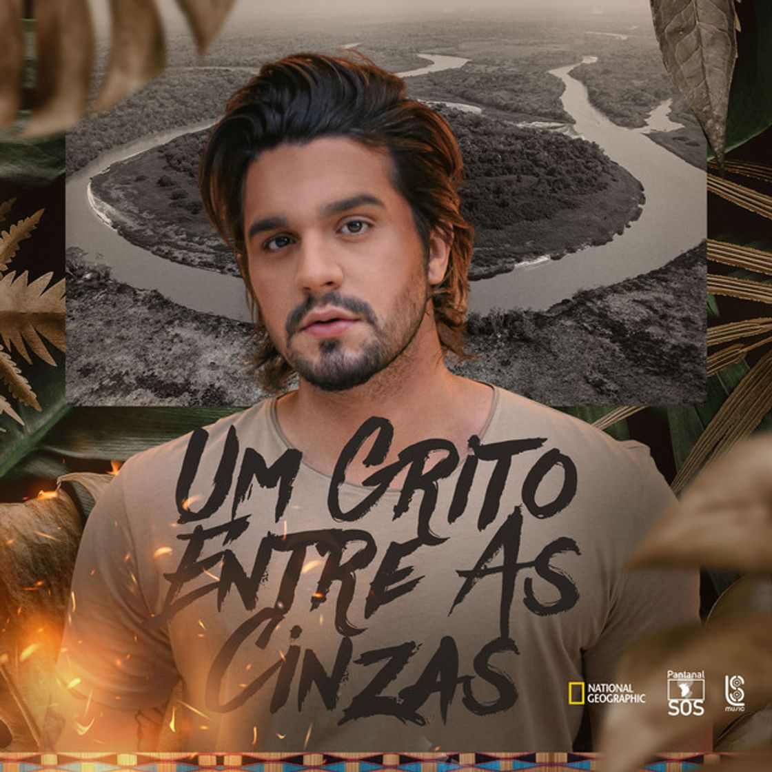 Music Um Grito Entre As Cinzas