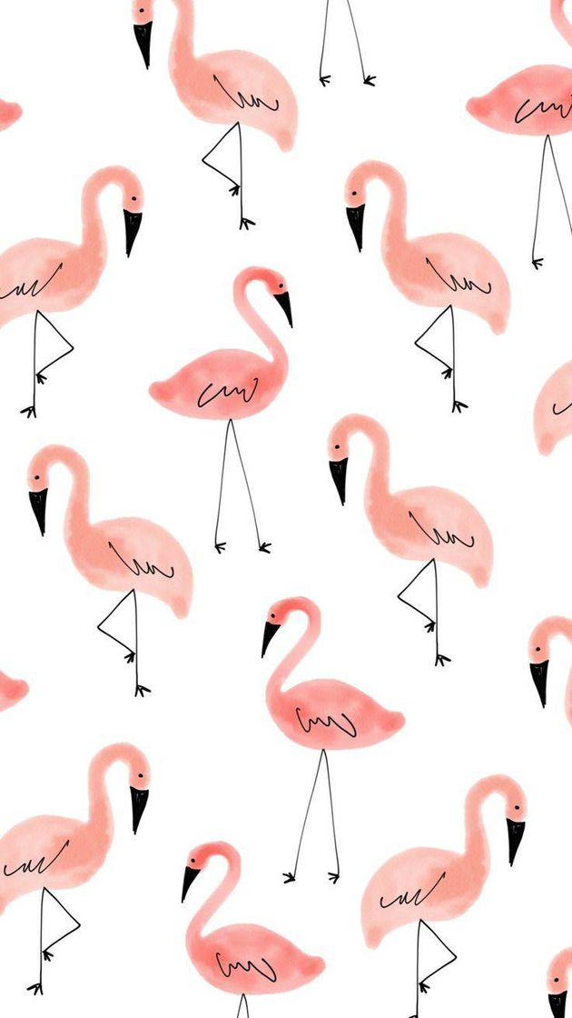 Moda Fondo de pantalla de Flamencos rosas