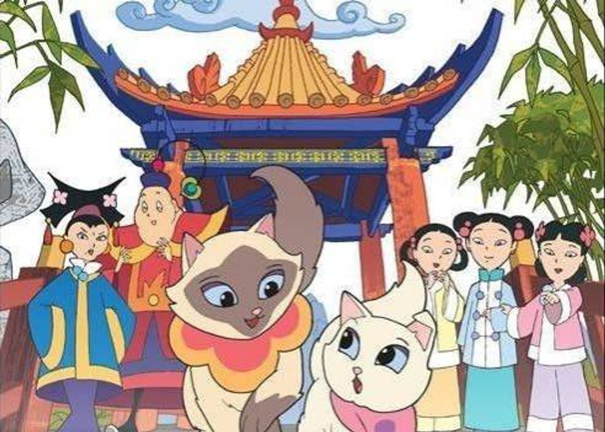 Social  Sagwa a gatinha siamesa