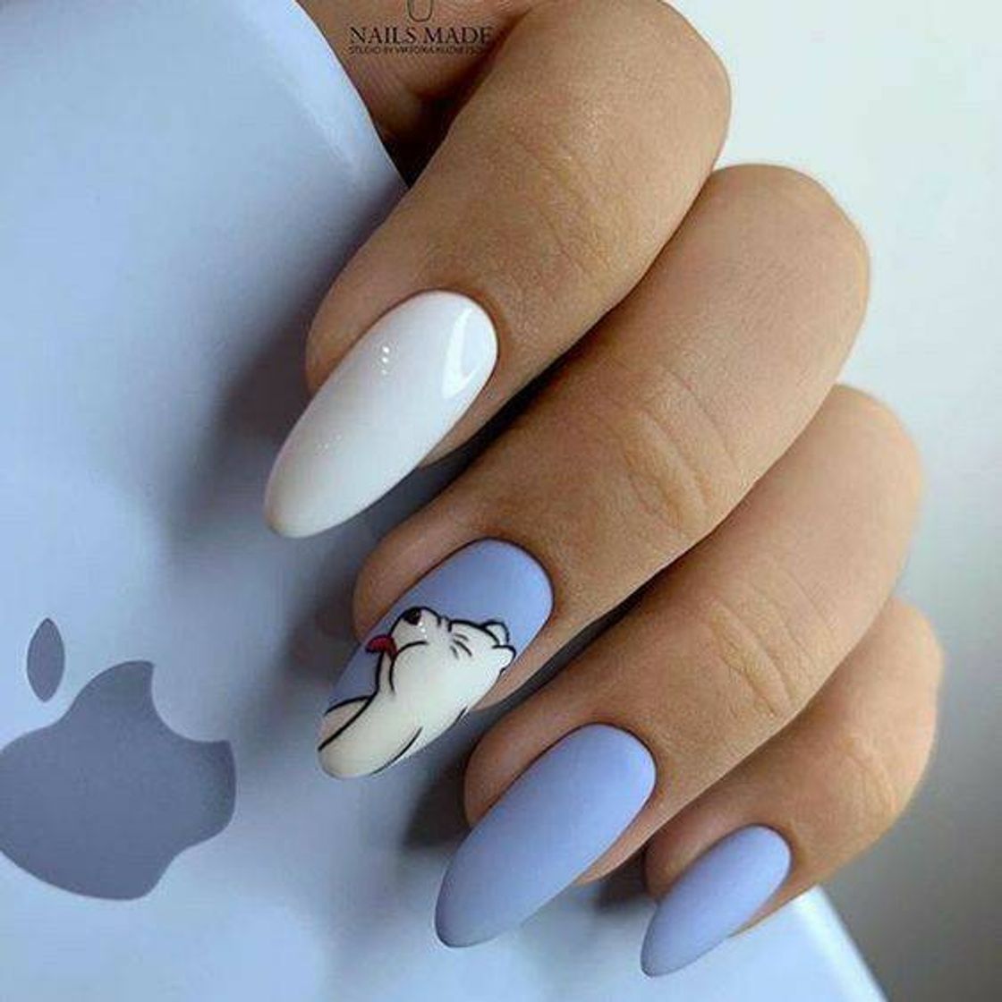 Moda Ideias de unhas 