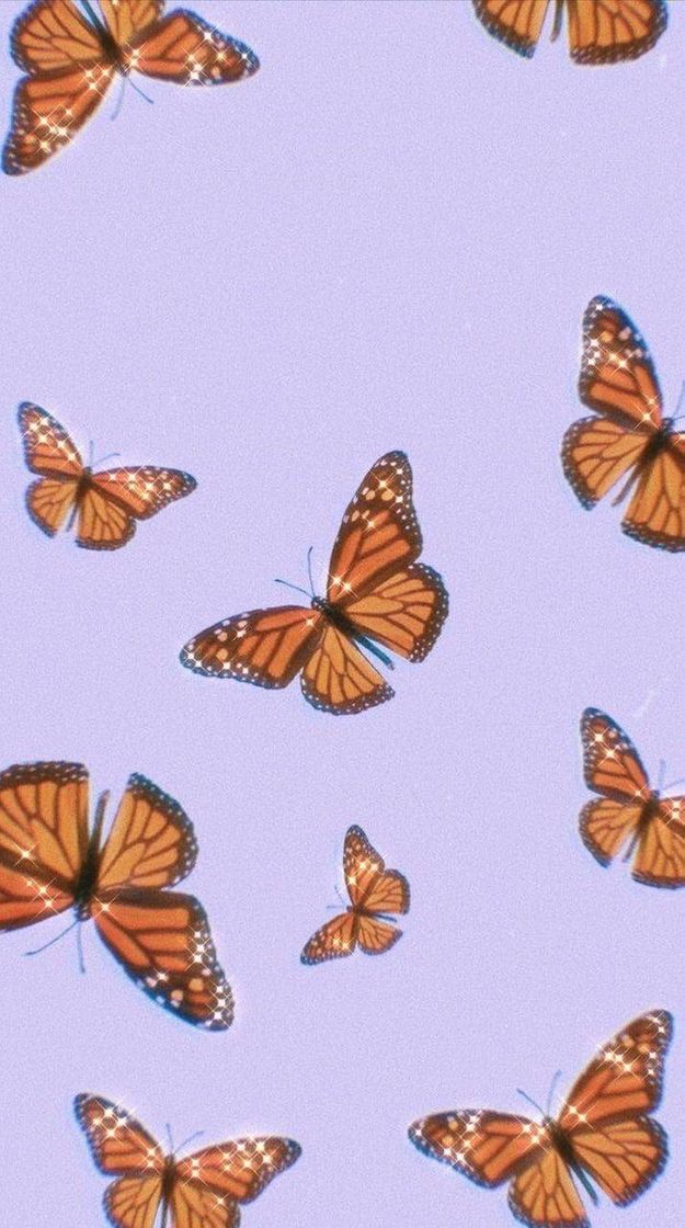 Social Wallpaper, butterfly