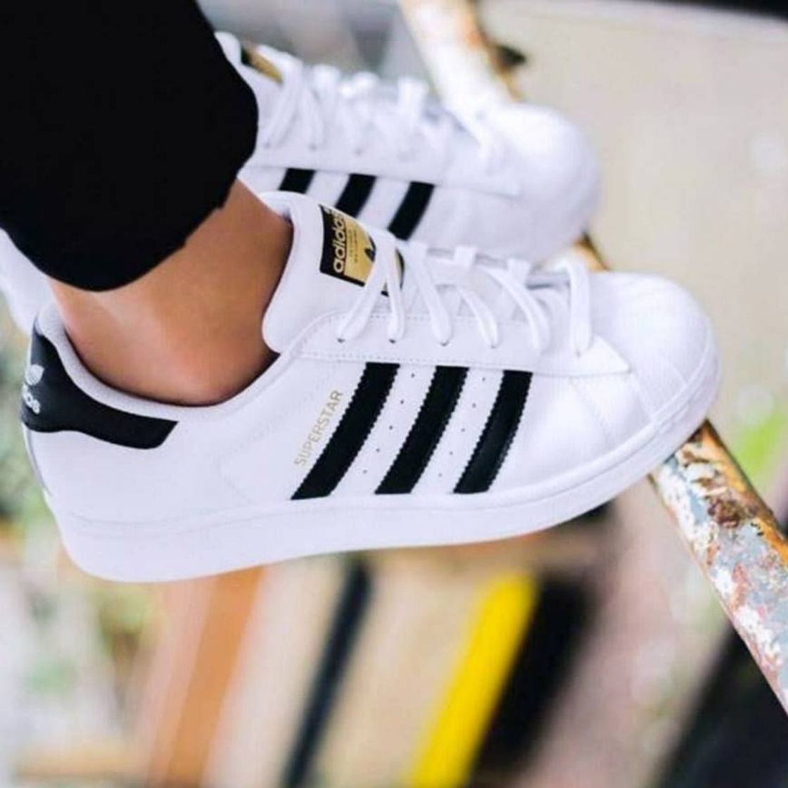 Fashion Adidas Superstar