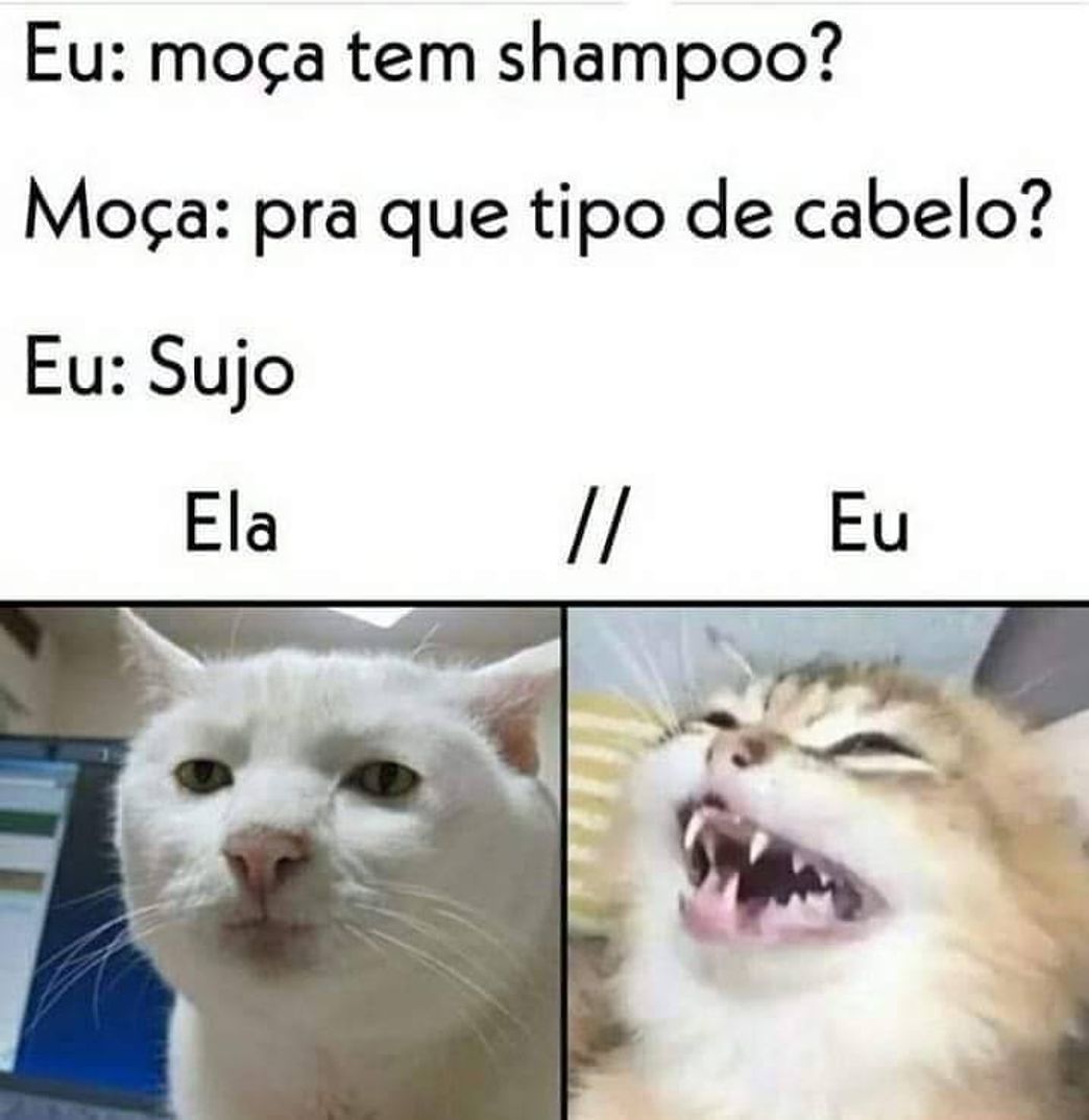 Moda Bom dia galera!