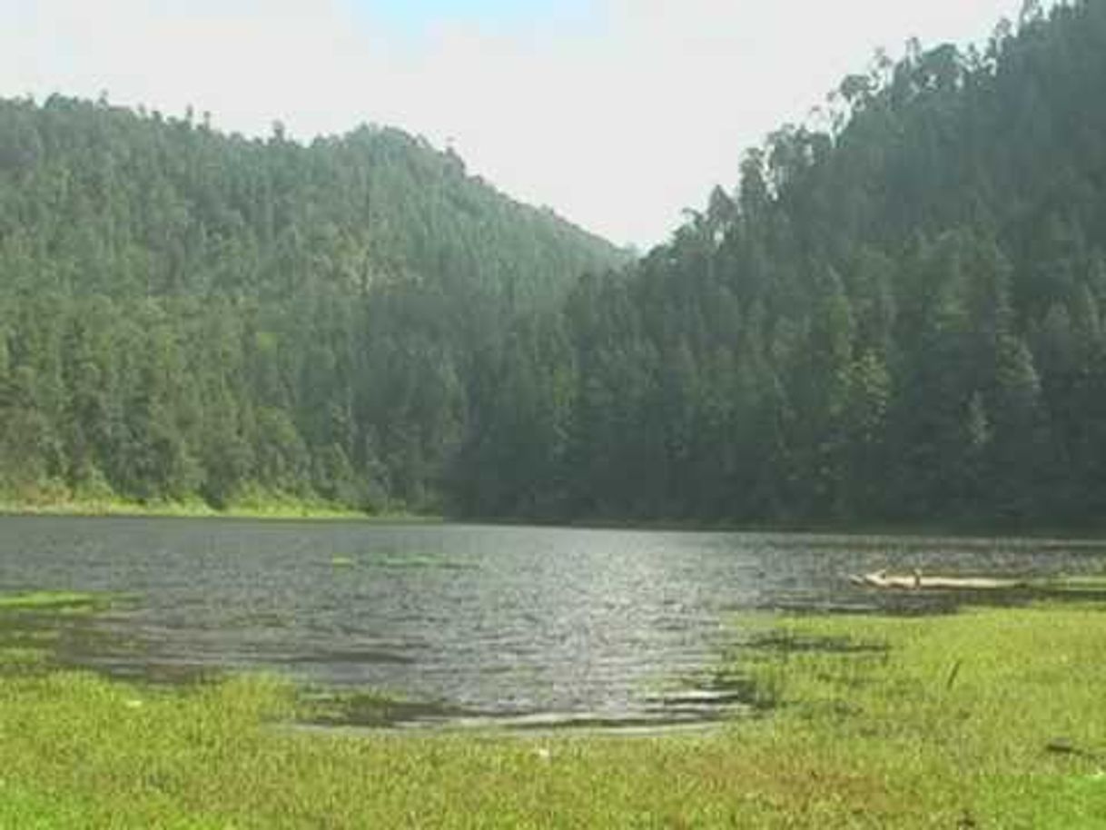 Place Laguna Tejocotal