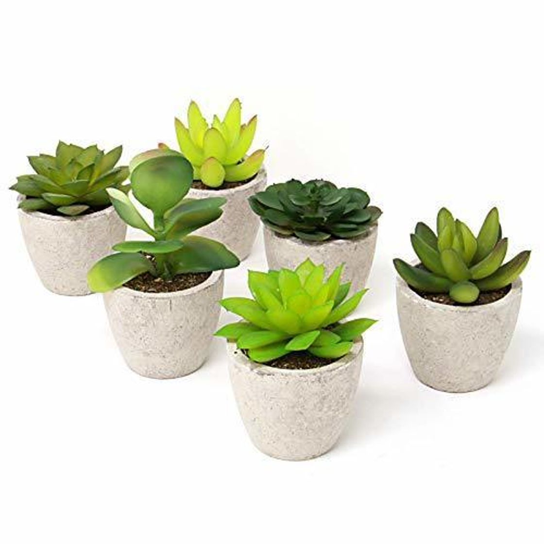 Home Maison & White Conjunto de 6 plantas artificiales suculentas