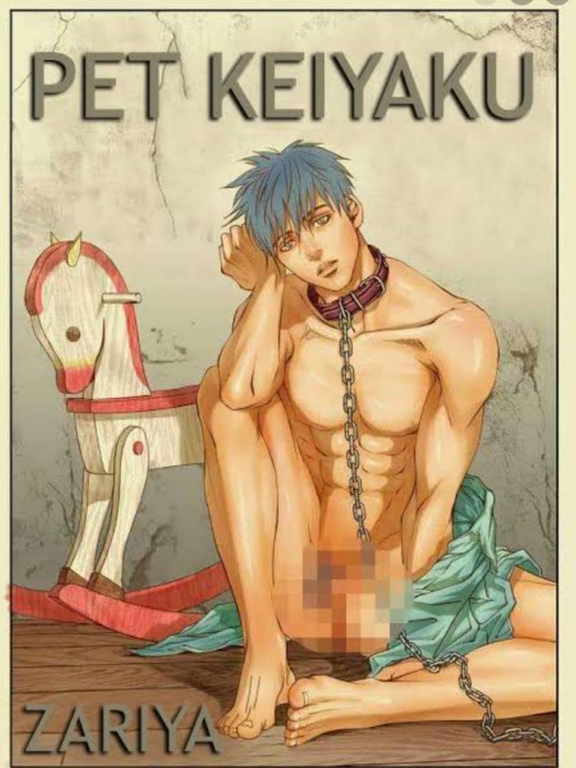 Social Pet Contract 