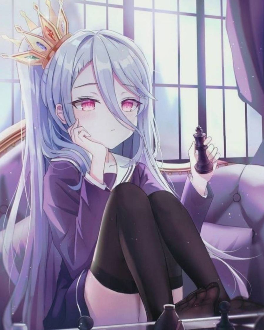 Social Shiro-No game no life