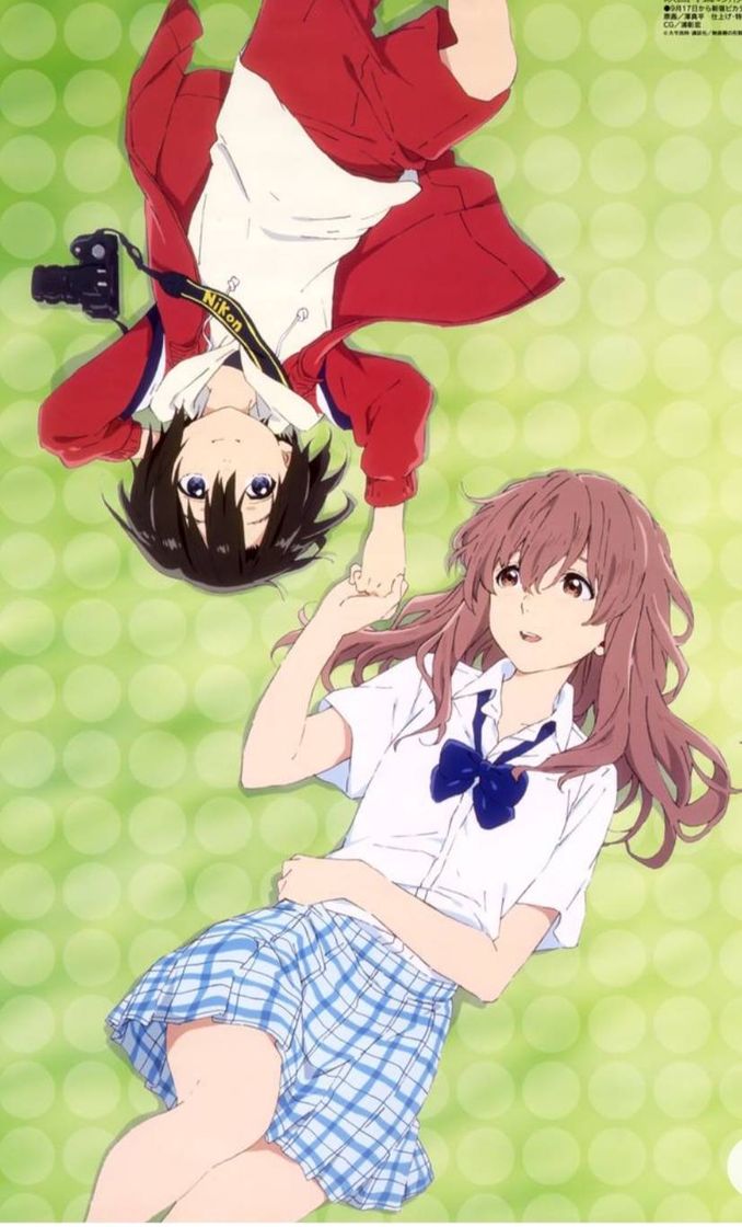 Social As irmãs Nishimiya-koe no katachi