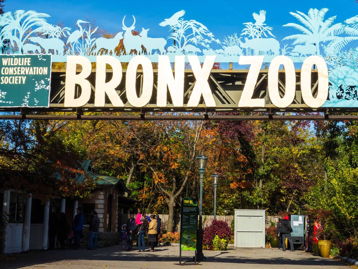 Lugar Zoológico del Bronx