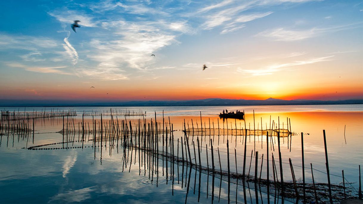 Place Albufera de Valencia