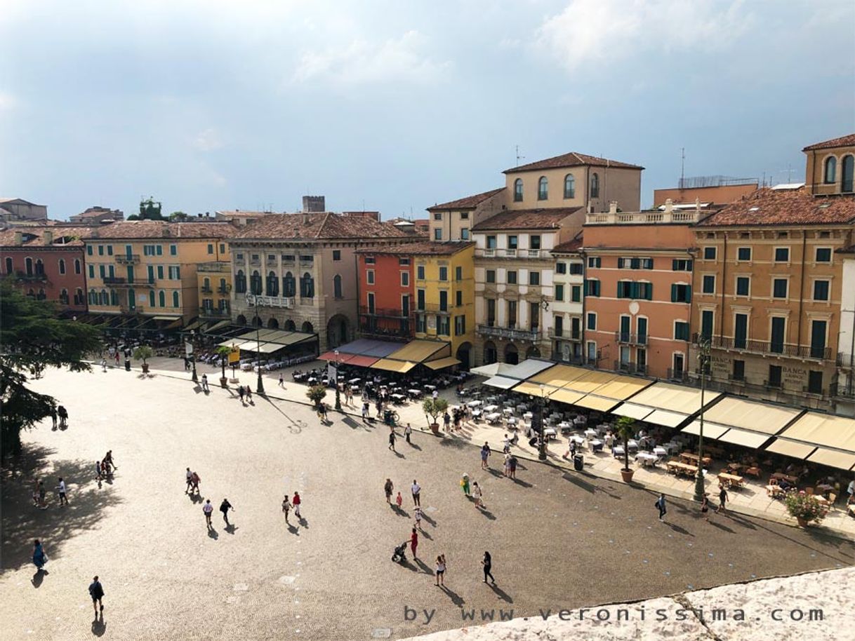 Place Piazza Bra