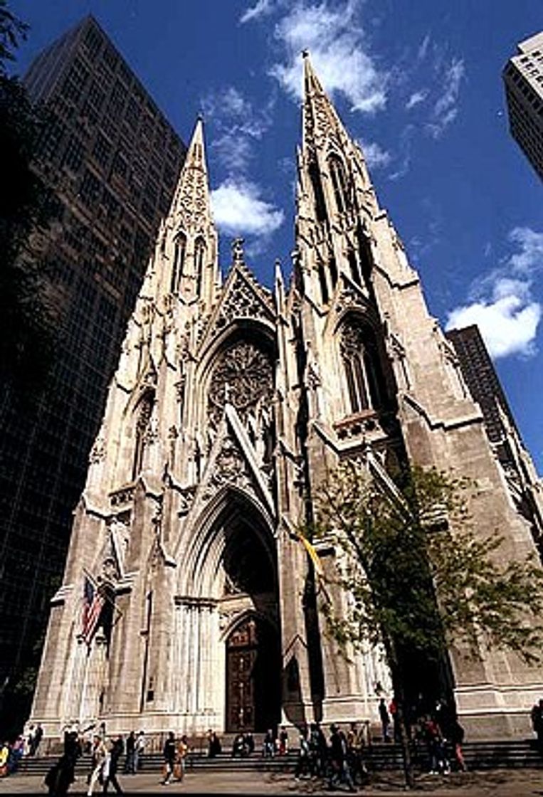 Place Saint Patrick's Cathedral