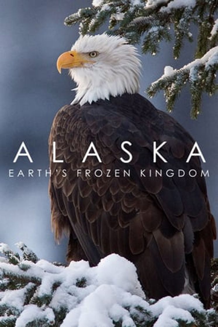 Serie Alaska salvaje