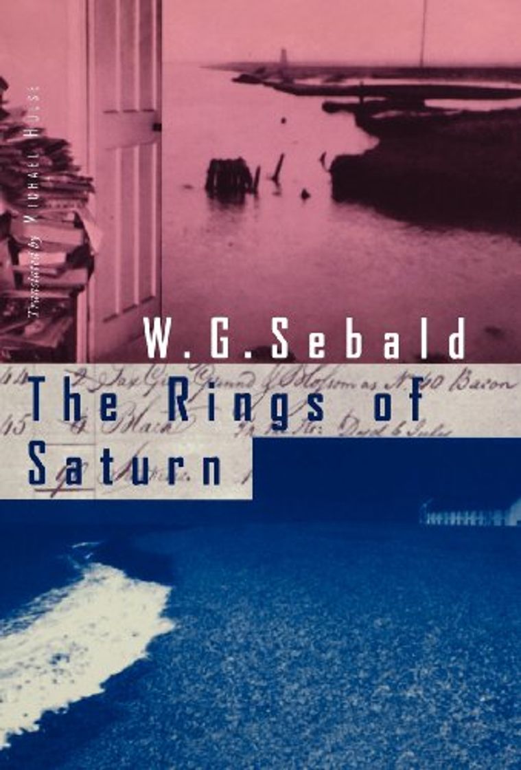 Libros The Rings of Saturn