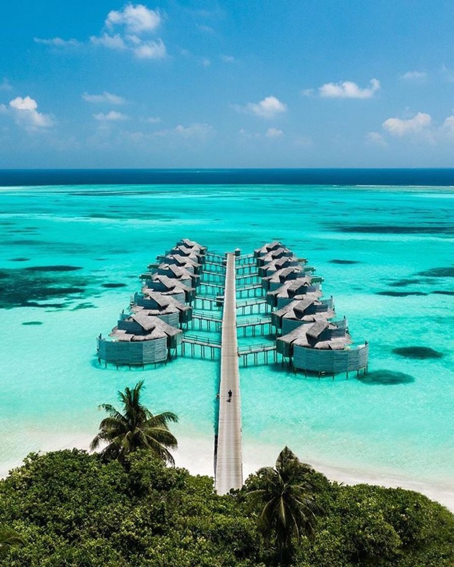 Place Maldive Islands