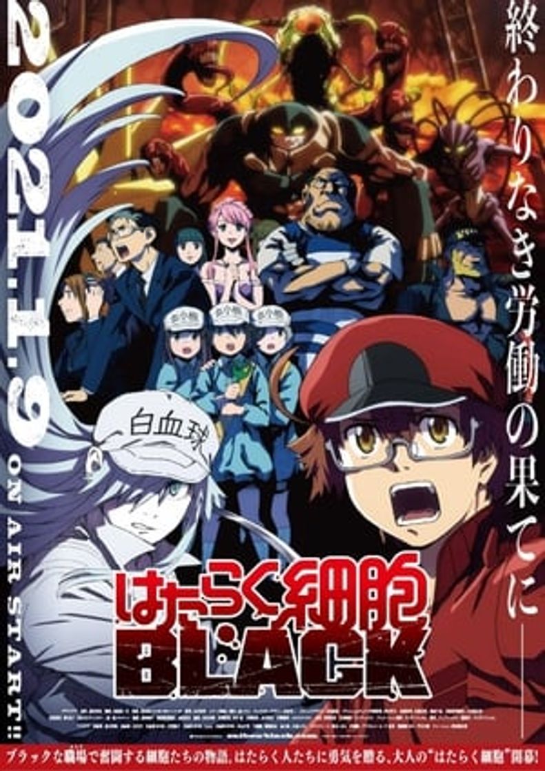 Serie Hataraku Saibou Black