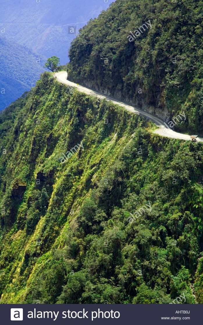 Restaurants Coroico In