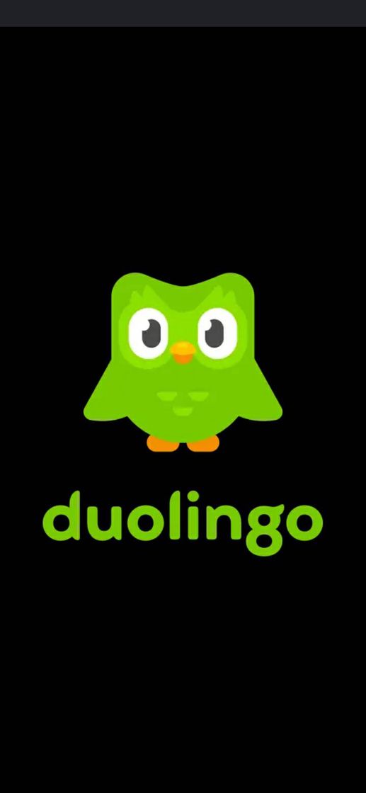 Moda Duolingo