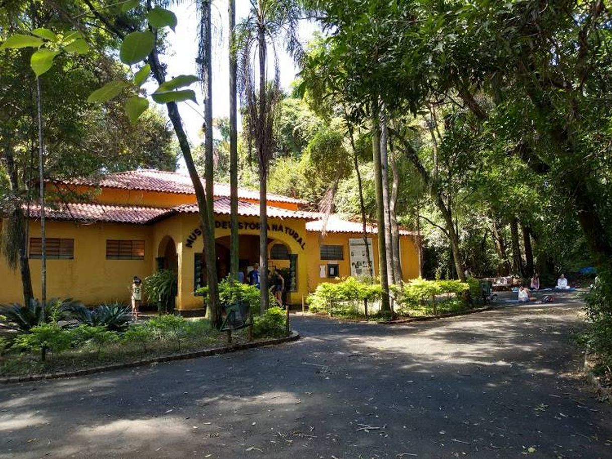 Parque Bosque dos Jequitibás