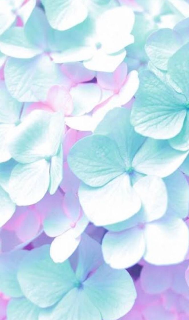 Social Wallpaper