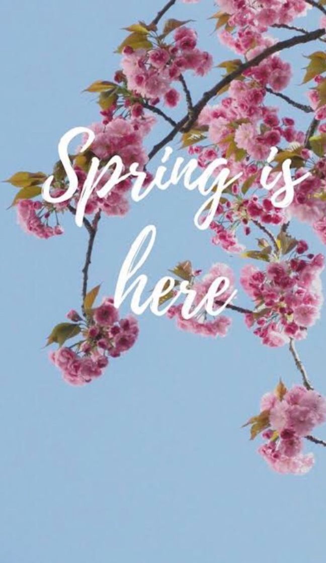 Social Wallpaper