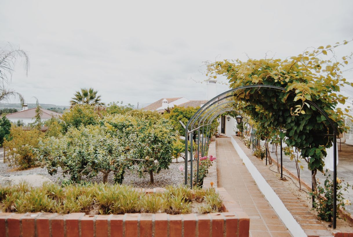 Places Quinta de São Pedro de Tomar