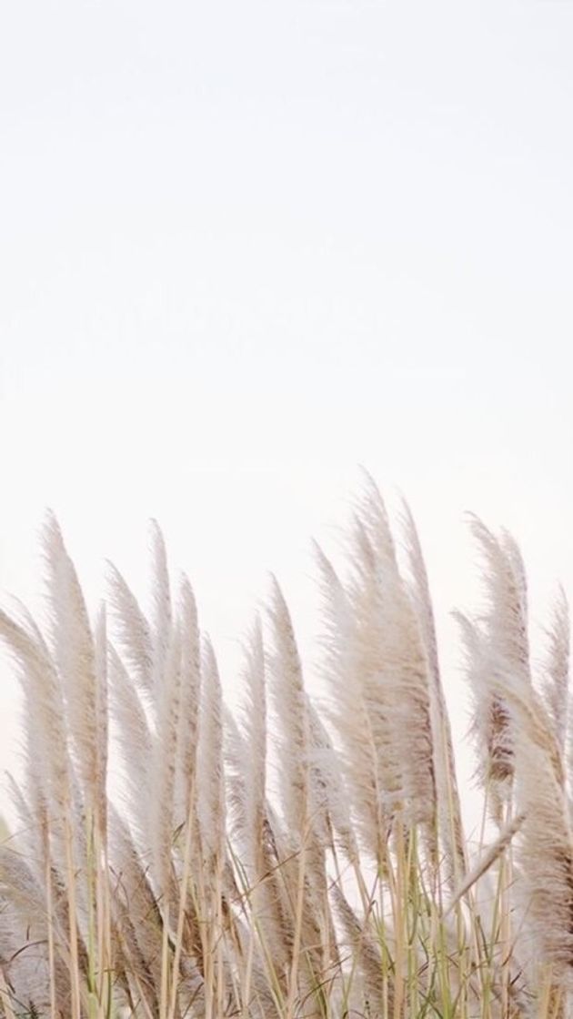 Social Wallpaper 35